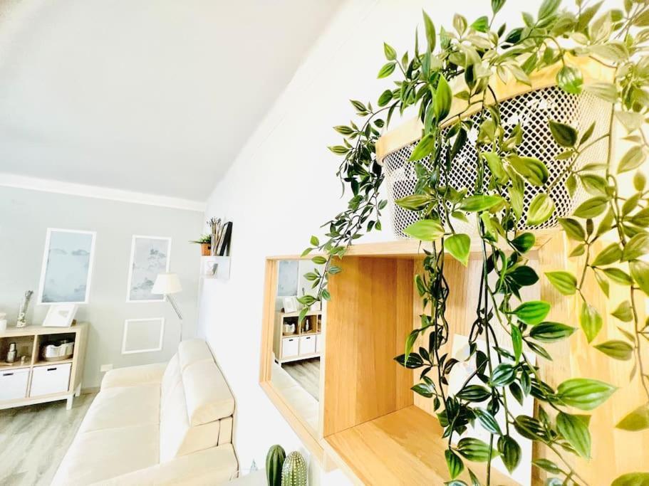 Suite Colibri - Sanremo Centro エクステリア 写真