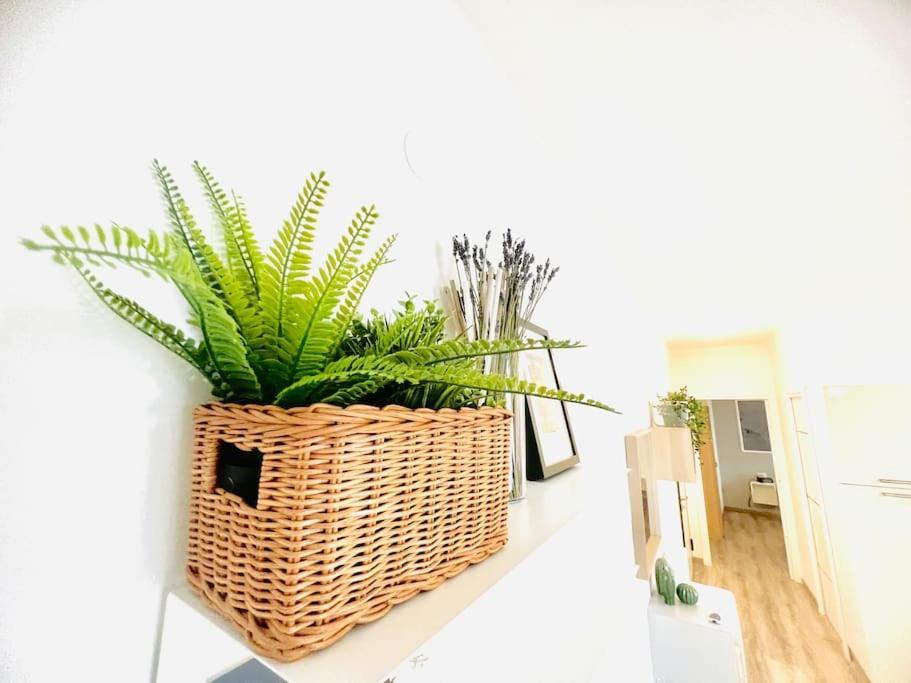 Suite Colibri - Sanremo Centro エクステリア 写真