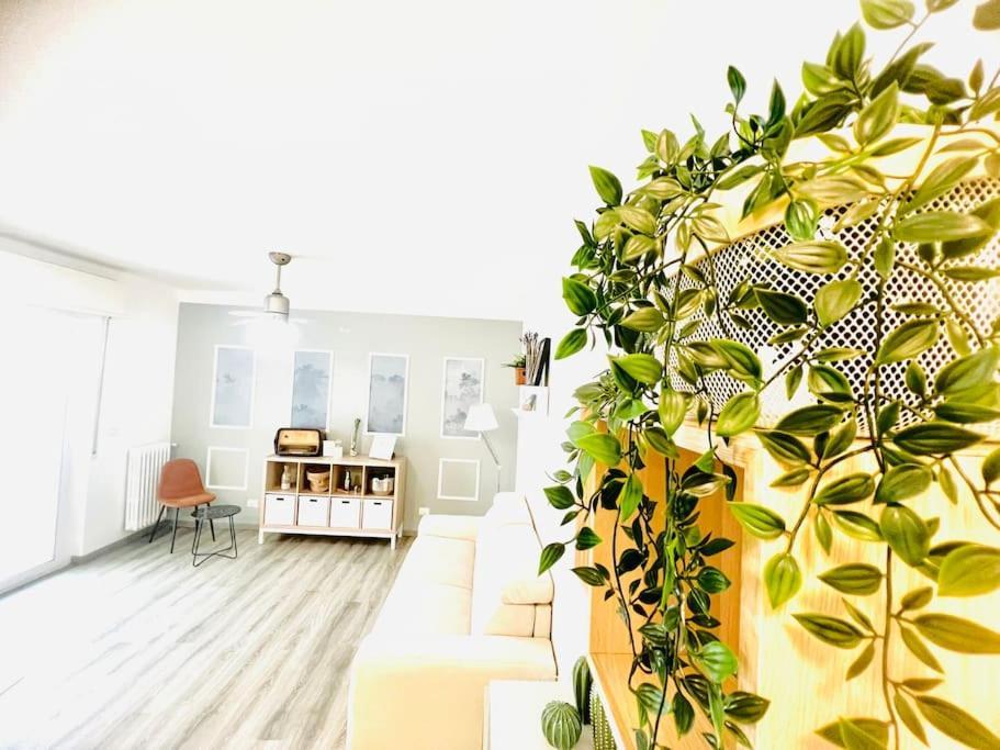 Suite Colibri - Sanremo Centro エクステリア 写真
