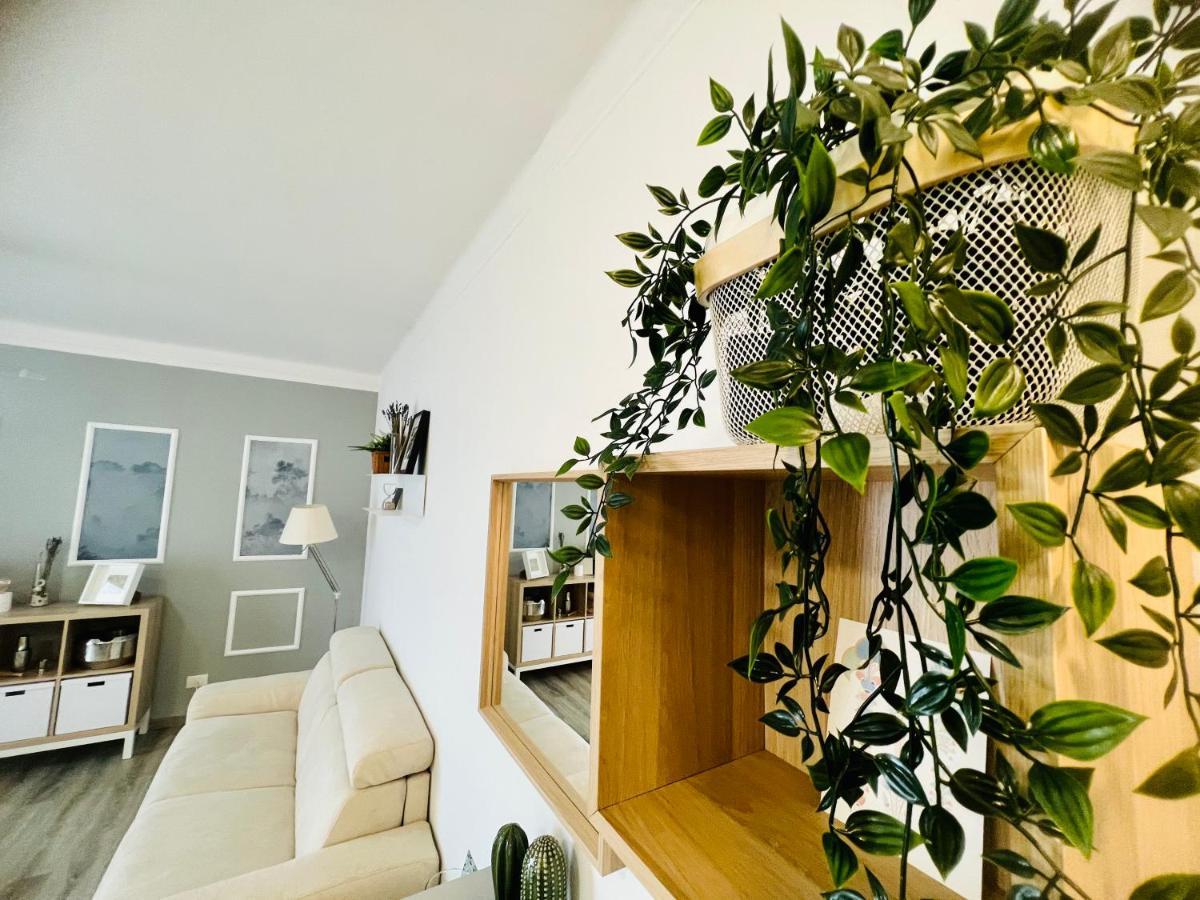 Suite Colibri - Sanremo Centro エクステリア 写真